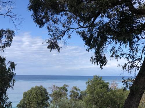 a view of the ocean through the trees at Lorne Surf Apartments in Lorne