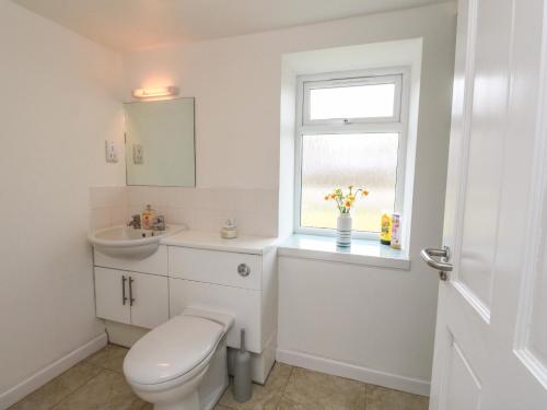 a bathroom with a toilet and a sink and a window at Storkery Cottage in Aberdeen