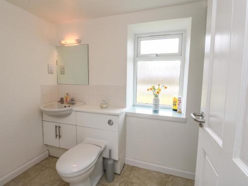un bagno con un water, un lavandino e una finestra di Storkery Cottage ad Aberdeen