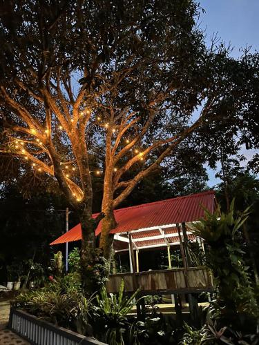 a tree with lights on it in front of a building at Casa Calanog in Tagaytay