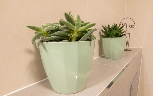 two green potted plants sitting on a shelf at Luxury apartment Porto with sea view and swimming pool in Premantura
