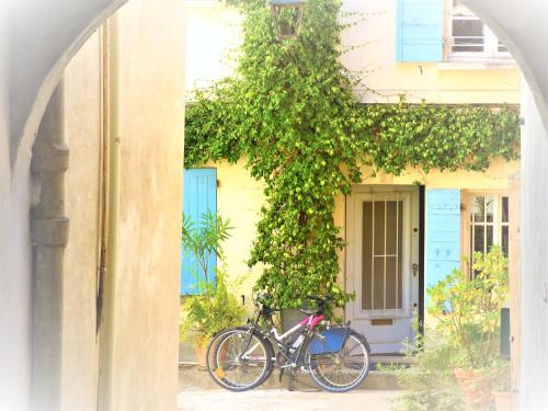 un vélo garé sous un arbre devant un bâtiment dans l'établissement L'Impasse - Maison proche des arènes, à Arles