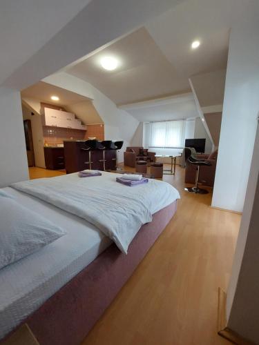 a large bedroom with a large bed in an attic at Apartmani Milojić in Soko Banja