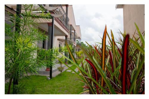 a group of plants in front of a building at Nataaha Hotels in Mbarara