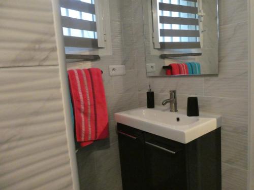 W łazience znajduje się umywalka i lustro. w obiekcie KAZE SILAS w mieście Saint-Joseph