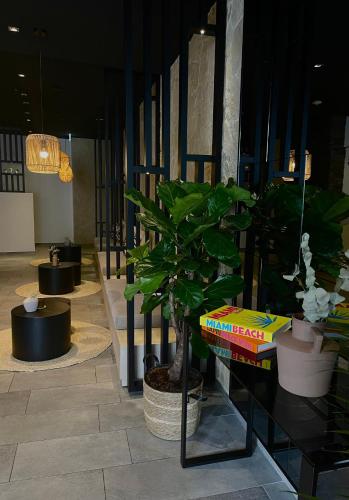 a lobby with potted plants on a glass table at Bayer's City Hotel in Munich