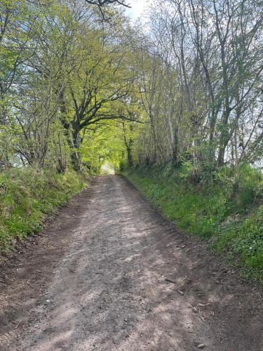 a dirt road in the middle of a field at Beach54 Damp Wellness-Loft in Damp