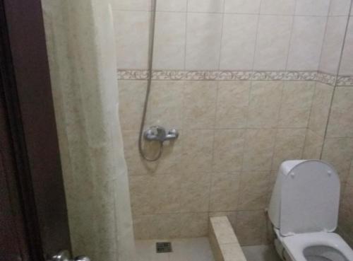a bathroom with a shower stall with a toilet at Вилла Блюз in Novy Afon
