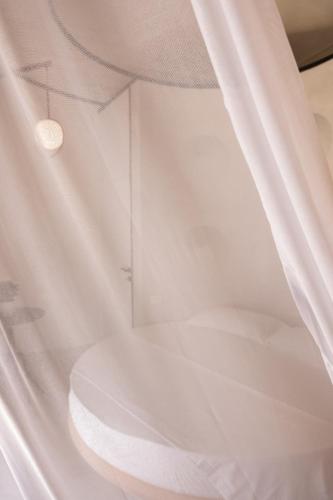Dome photo 34