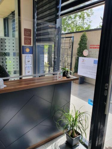 a window of a coffee shop with a potted plant at Family Hotel Novel City in Burgas