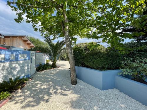a tree in a sidewalk next to a fence at Le banc d'Arguin in La Teste-de-Buch