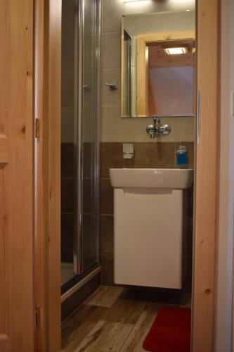 La salle de bains est pourvue d'un lavabo et d'une douche. dans l'établissement Penzion U Jelena, à Železná Ruda
