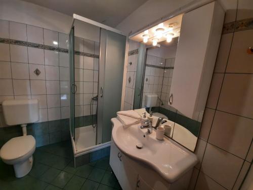 uma casa de banho com um lavatório, um WC e um espelho. em Apartment Dominik-Posedarje em Posedarje