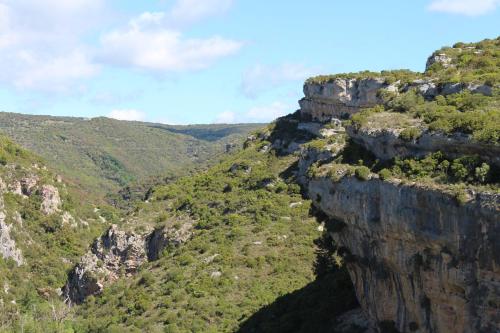 vistas a un cañón con árboles en una montaña en LaFabriek, en Canet d'Aude