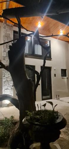 a statue of a tree in front of a building at Bujtina Gjyshi Ilo in Pogradec