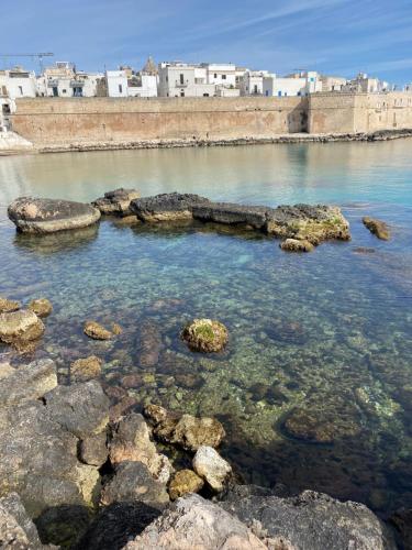 a body of water with rocks in the water at Nenetta Rooms & Suites Monopoli in Monopoli