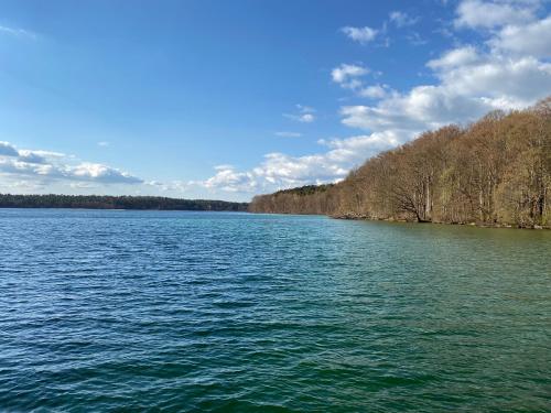 a large body of water with trees in the background at Haus am Grimnitzsee mit Garten in Joachimsthal