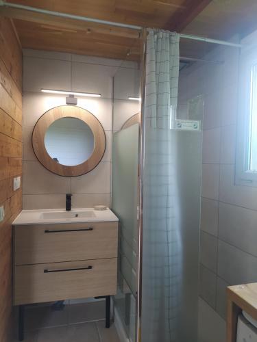 a bathroom with a sink and a mirror at Gîte La Pironnière - Piscine, Nature, au bord de la Rivière in Montreuil-sur-Maine