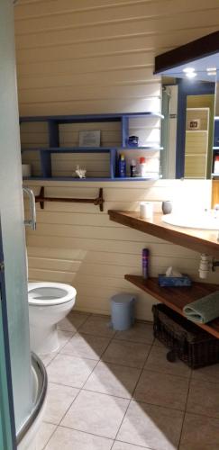 ein Bad mit WC in einem Zimmer in der Unterkunft Gites Cabazat in Bouillante