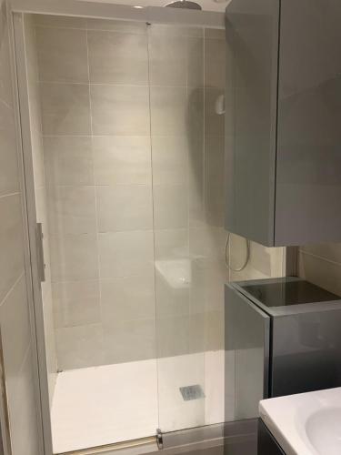 une douche avec une porte vitrée dans une salle de bain dans l'établissement Bel appartement en coeur de ville - 20 minutes du PAL, à Moulins