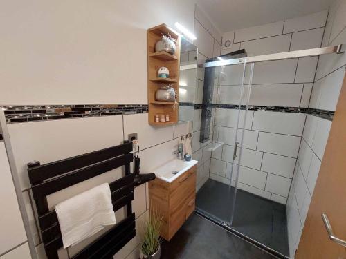 a bathroom with a shower and a sink at Wohnambiente in Selb