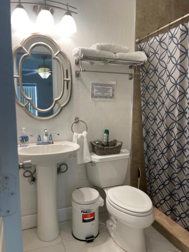 a bathroom with a sink and a toilet and a mirror at Blue Sky in Fort Myers