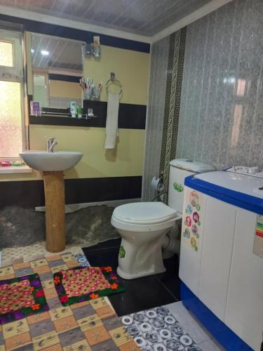 a bathroom with a toilet and a sink at FOREST Guest House in Mirzakishlak