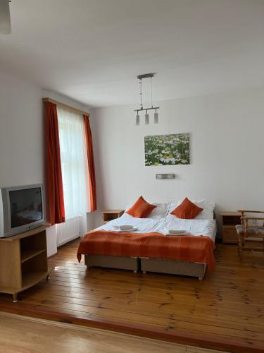 a bedroom with a bed and a tv in it at Vaskapu Fogadó in Vasvár