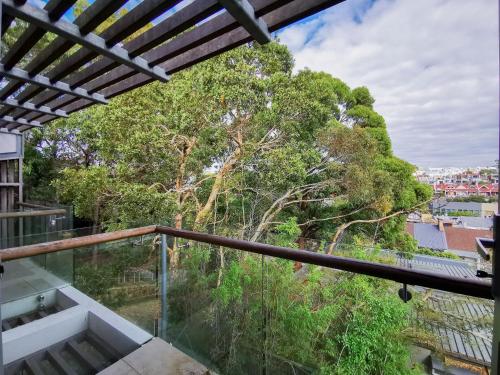a view from the balcony of a house with trees at Glebe House Homestay in Sydney