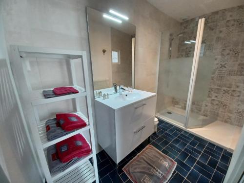 翁赞Rêve de Loire chambres d'hôtes au calme au pied des châteaux de la Loire的带白色水槽和淋浴的浴室