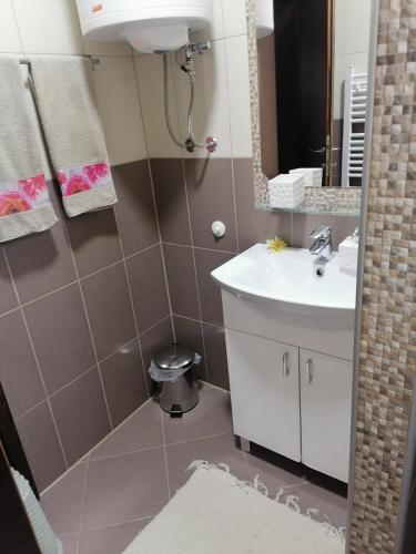 a bathroom with a sink and a mirror at Apartmani Tarsko Sunce in Kaludjerske Bare