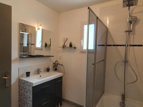 a bathroom with a sink and a shower at GITE COTE LAC in Valréas