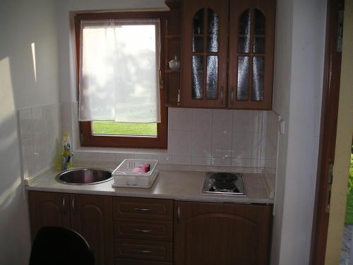 利普托斯基托諾維茲的住宿－PRIVAT EVA - Mgr. Rastislav Mikuláš，一个带水槽和窗户的小厨房