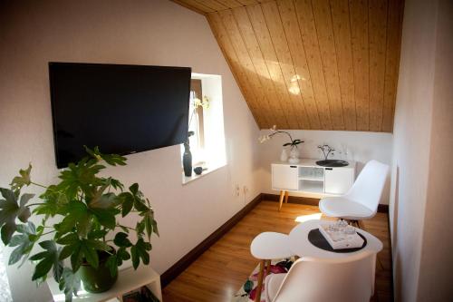 a living room with a flat screen tv on the wall at Gästezimmer im Grünen Haus in Thum