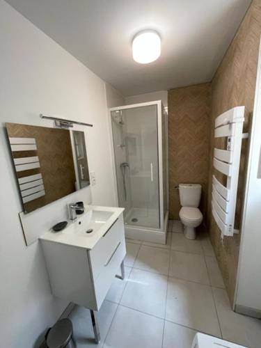 La salle de bains est pourvue d'un lavabo, d'une douche et de toilettes. dans l'établissement Appartement climatisé avec cour en centre ville, à Carpentras