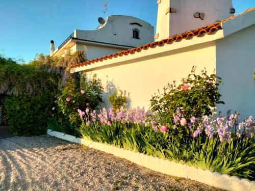 eine Wand mit Blumen neben einem Haus in der Unterkunft La Moresca - Casa Vacanze in Poggio Mirteto