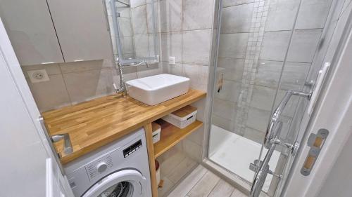 La petite salle de bains est pourvue d'un lavabo et d'un lave-linge. dans l'établissement Golfe Bleu, à Sainte-Maxime