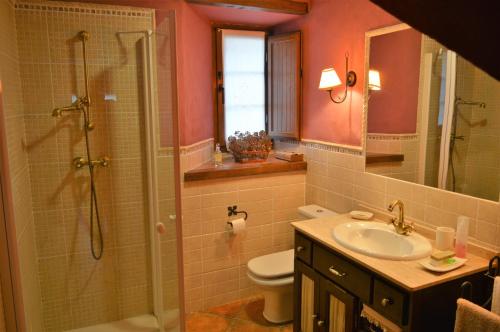 une salle de bain avec une douche, des toilettes et un lavabo dans l'établissement Casa acogedora en pueblo de montaña, à Loma Somera