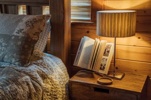 Televisyen dan/atau pusat hiburan di Donard Shadow Lodge