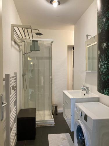 une salle de bain avec douche et machine à laver dans l'établissement Le Central Victoria V -Central Point -55m2, à Nancy
