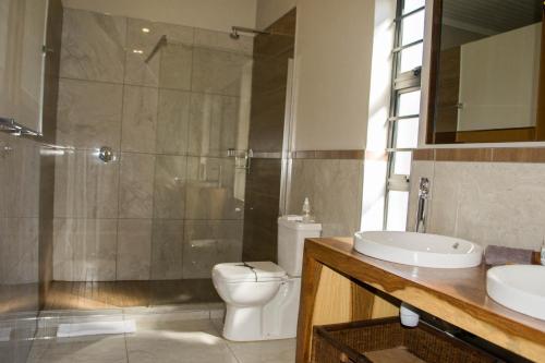 a bathroom with a shower and a toilet and a sink at The Hank Bethlehem Pty Ltd in Bethlehem