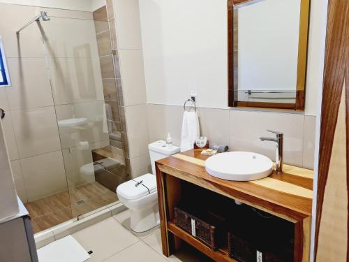 a bathroom with a toilet and a sink and a shower at The Hank Bethlehem Pty Ltd in Bethlehem