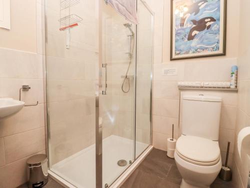 a bathroom with a shower and a toilet at Deer View in Witney