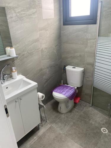 baño con aseo con asiento púrpura en צמרים סמר, en Nimrod