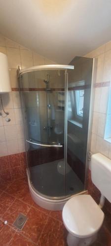 La salle de bains est pourvue d'une douche en verre et de toilettes. dans l'établissement Apartments Ivanka G, à Malinska