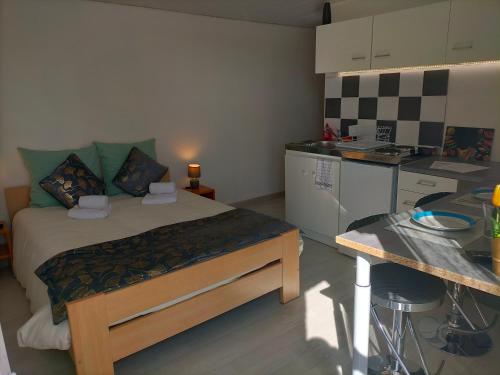 a small room with a bed and a kitchen at studio ''tulipe'' dans le Berry in Les Bordes
