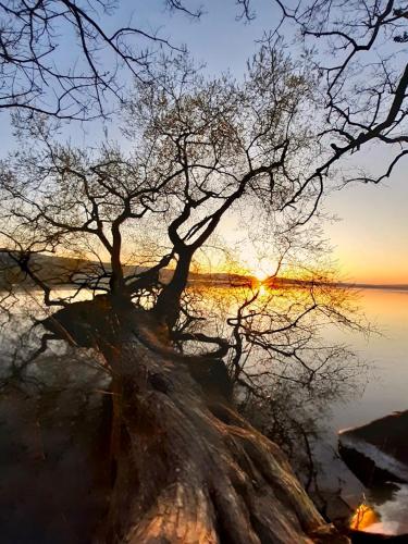 Fotografie z fotogalerie ubytování Ferien-Sempachersee Sandra Sens v destinaci Sempach