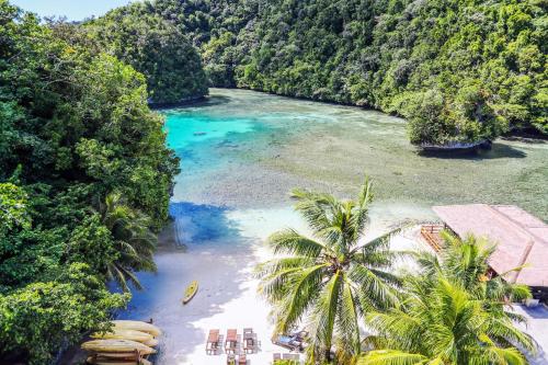 an aerial view of a beach with palm trees and a river at Sea Passion Hotel in Koror