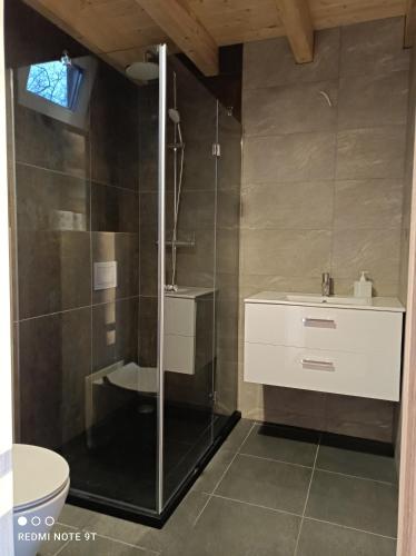 a bathroom with a shower and a sink and a toilet at OSTOJA Ślesin in Ślesin