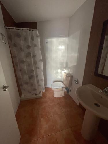 a bathroom with a toilet and a sink at Precioso apartamento rural con patio in Caudete